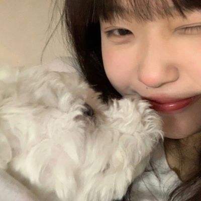 星云纪九游版下载